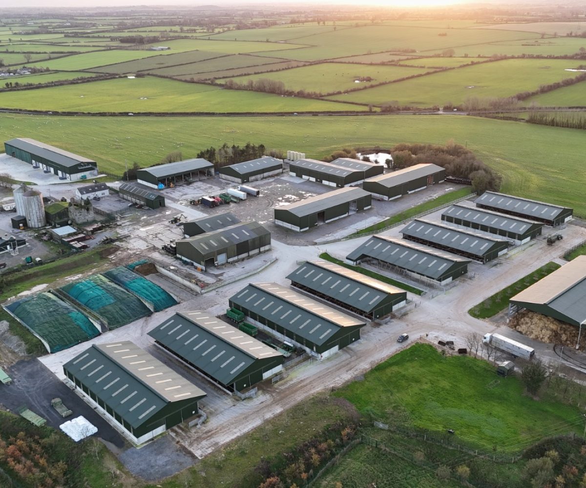 Castleblake — structural steel project by Loughryan Engineering